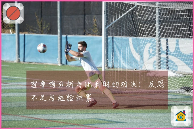 宫鲁鸣分析与比利时的对决：反思不足与经验积累